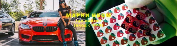индика Михайлов