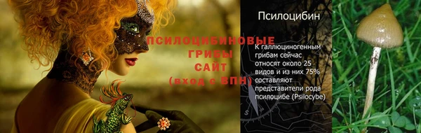индика Михайлов
