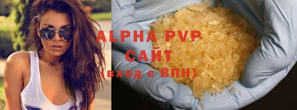 индика Михайлов
