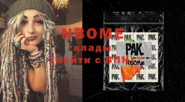 индика Михайлов