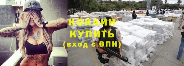 индика Михайлов
