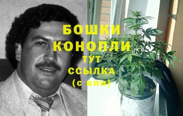 индика Михайлов