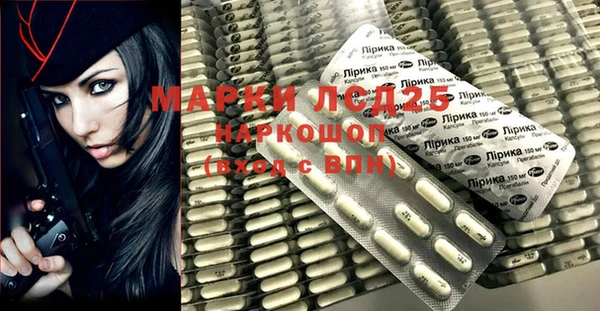 индика Михайлов