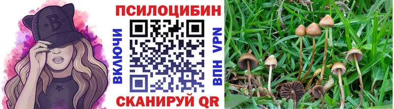 Галлюциногенные грибы GOLDEN TEACHER Костомукша