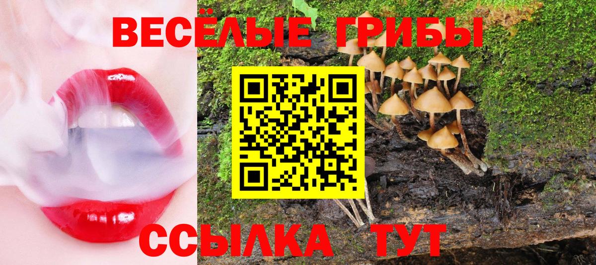 Alpha PVP Костомукша