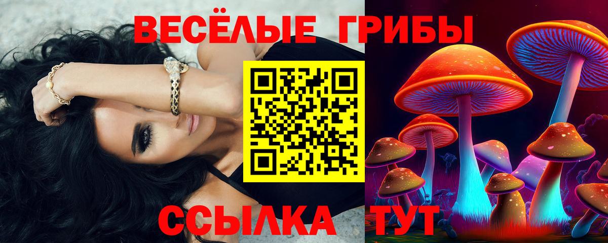 Галлюциногенные грибы прущие грибы Костомукша