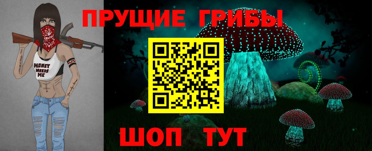 Псилоцибиновые грибы Psilocybe  Псилоцибиновые грибы Psilocybine cubensis  Костомукша 