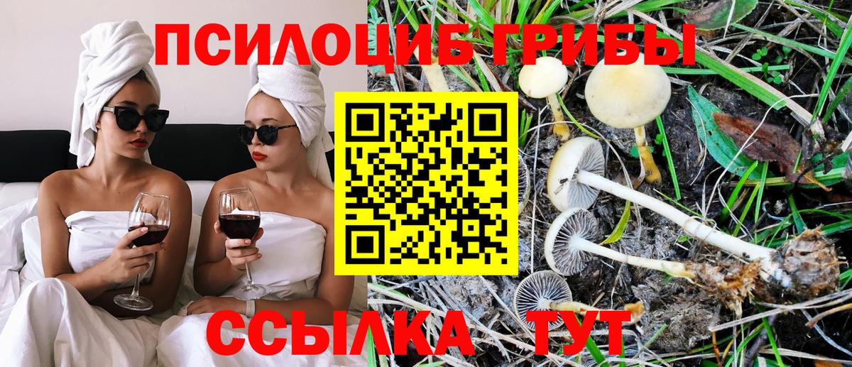 Псилоцибиновые грибы прущие грибы  Вход с VPN  Галлюциногенные грибы Psilocybe  Костомукша 