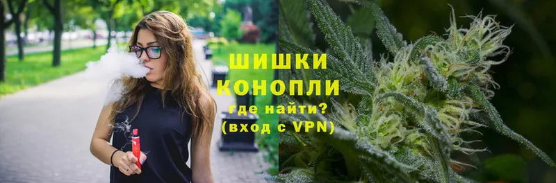 Бошки Шишки сатива  купить наркоту  Костомукша 